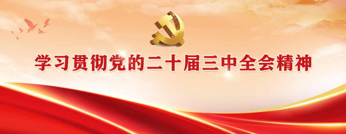 學習貫徹黨的二十屆三中全會精神